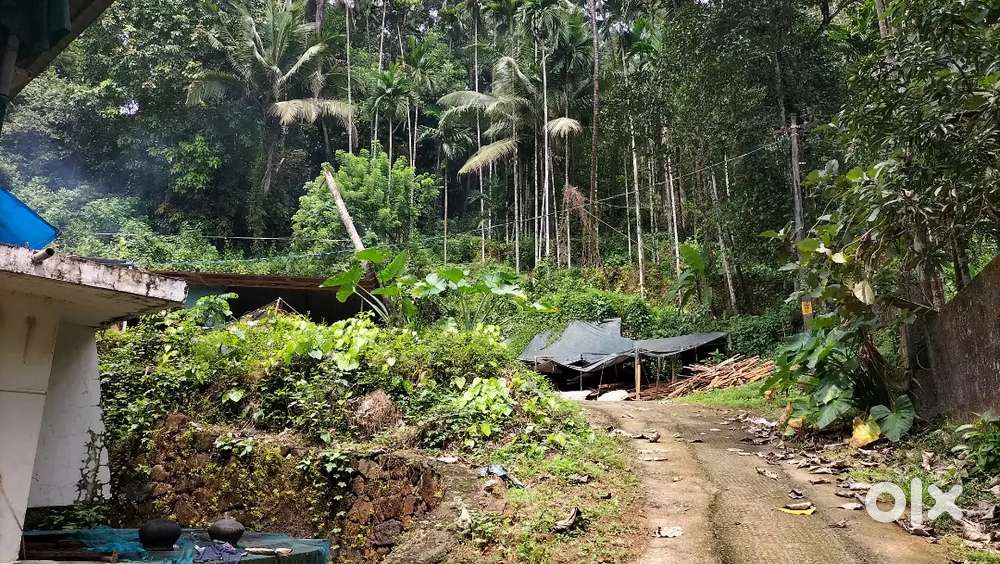 Selling land in thottilpalam wayand road