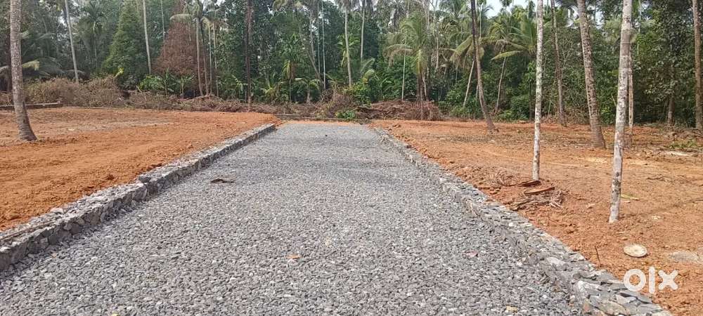Prime Residential plots for sale near behind Apollo hospital Angamaly