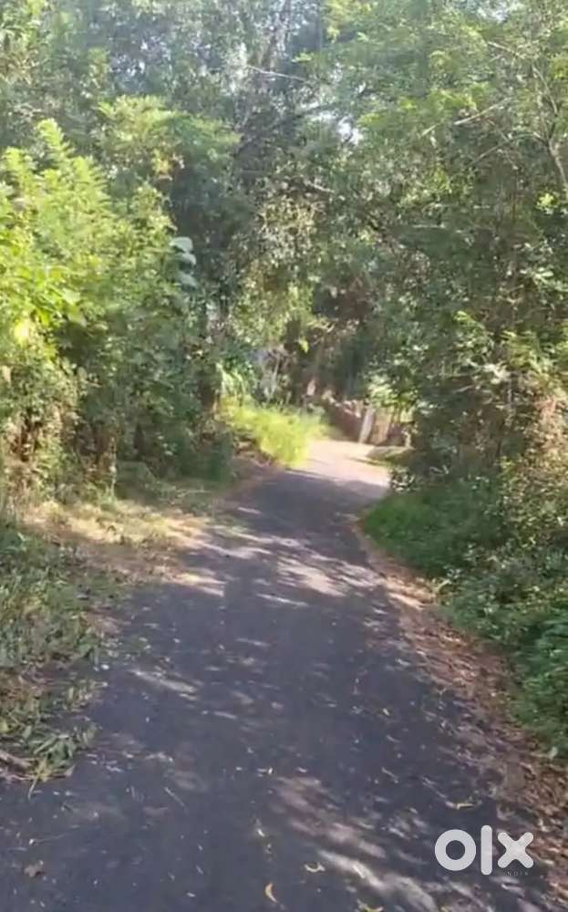 വീട് നിർമിക്കാൻ ആവശ്യമായ മനോഹരമായ സ്ഥലം വില്പനയ്ക്ക്