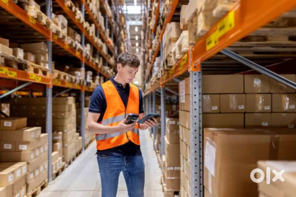 ++Logistics jobs