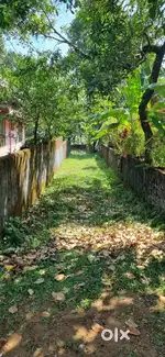 Plot fir sale
