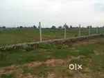 Near by vatika tonk road Jaipur Rajasthan