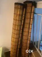 Bamboo Screen