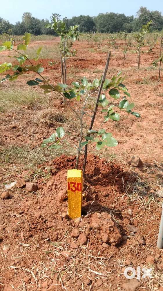 Best investment in vizag