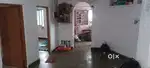 Required female flatmate, whose working and pationated about her work