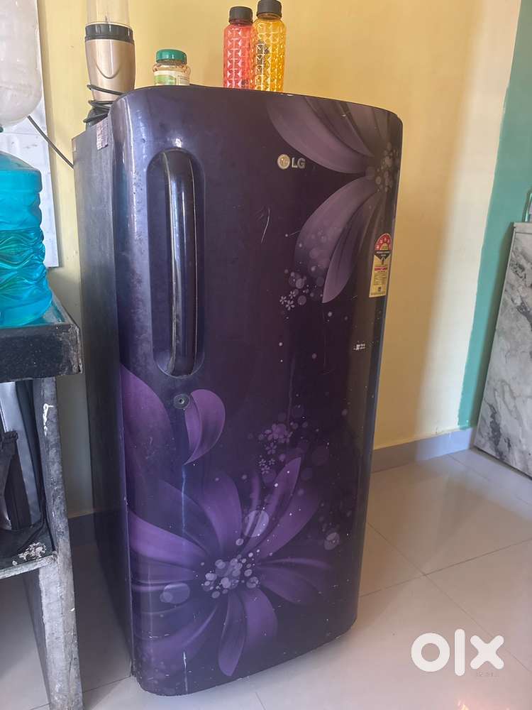 Looking pg for holl , female only