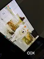 Best branded gaming pc 2yrs old only