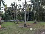 35 cent Housing plot for sale, Engandiyur