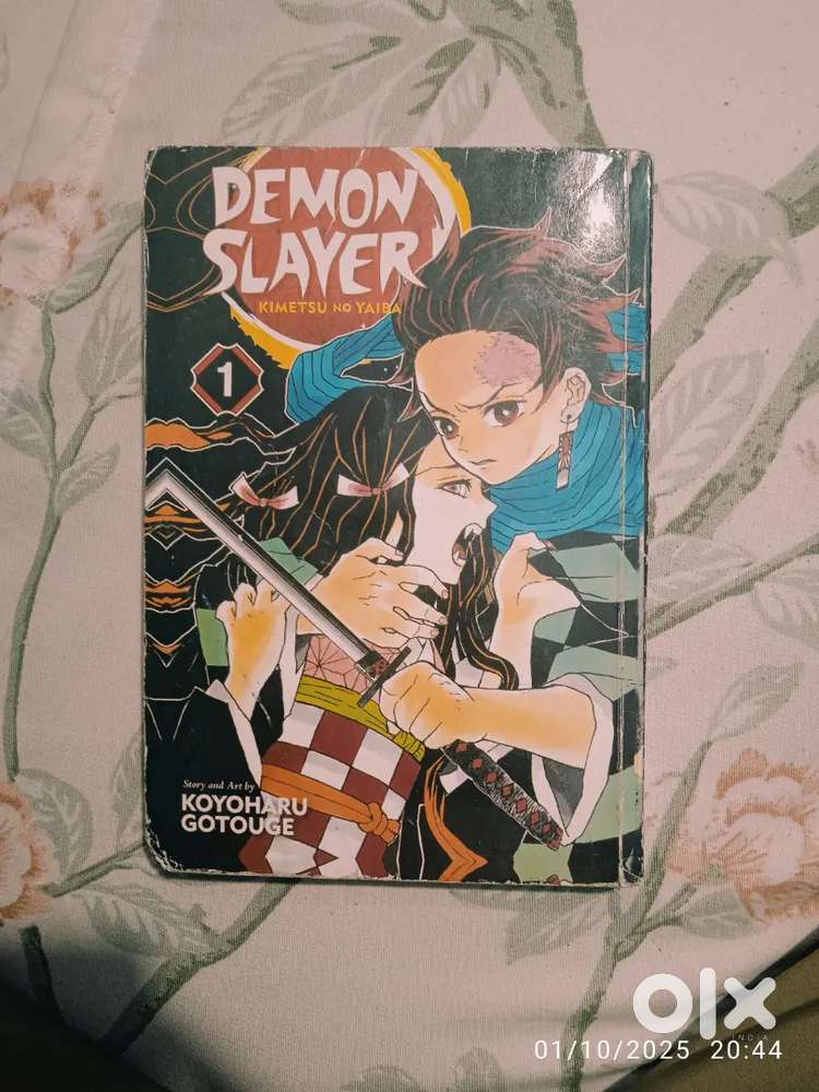 Demon slayer Manga