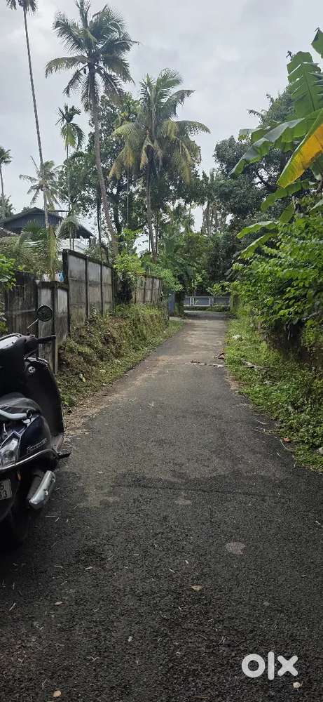 ഇരിഞ്ഞാലക്കുട എടതിരിഞ്ഞിയിൽ ടാറിങ് റോഡുള്ള 125 സെന്റ് വില്പനയ്ക്ക്