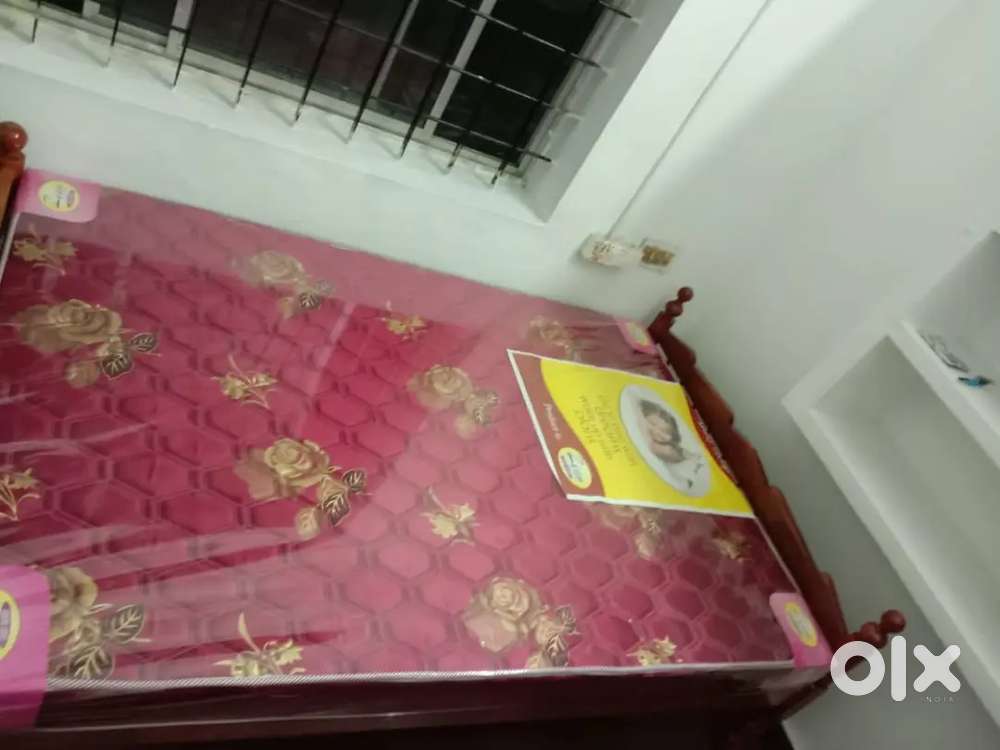 # coconut cot # furniture bed# sofa# dining #