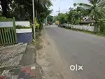 11.5 cent commercial commercial house plot Manikkunnam Thiruvathukkal