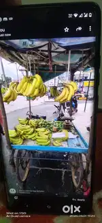 We need workers to work in fruits company and providing room facility