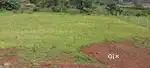 Trmbk land
