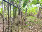 8 Cent Residential Plot Maruthoorkadavu Kaimanam Thiruvallam Tvpm