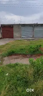 hotal shoroom water plant
