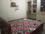 Need a Bachlor Female flatmate (only for Girls)