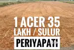 Agricultural land / Agriland / Coconut farm