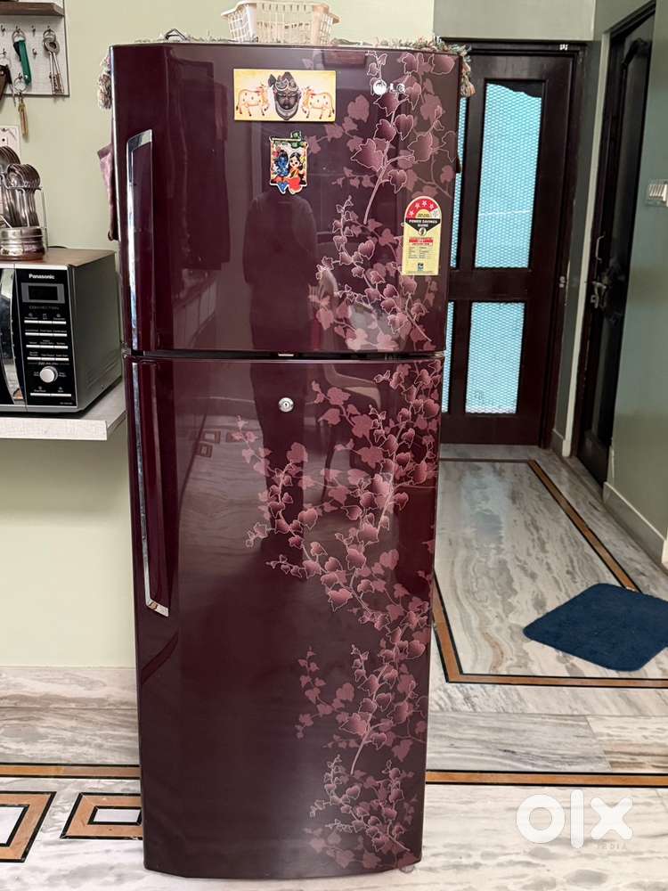 4 star frige