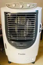 Havells Freddo Air Cooler