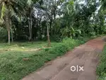 800 Mtrs From Airport Road Valiyannur