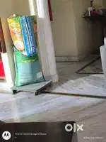SONA MASOORI RICE AT LOW COST MOVING ABROAD