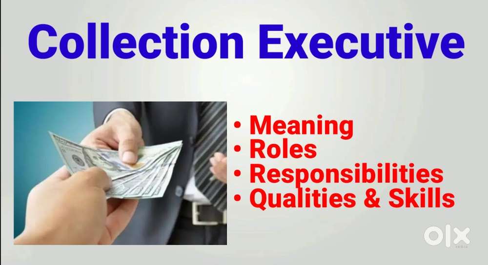 COLLECTION EXECUTIVE
