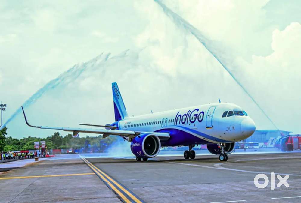 Urgent hiring for Indigo airline apply fast