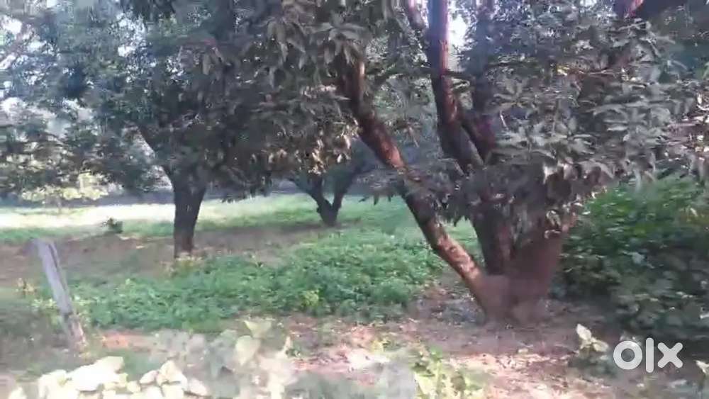 लान बनवाने के लिए सीतापुर बी के टी के पास में हाईवे पर जमीन खरीदे