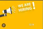 Collection executive and Telecallers required