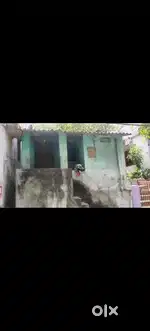 Individual house