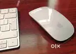 Apple magic mouse 2