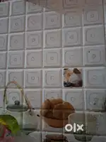 Need female roommate