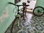 Best cycle