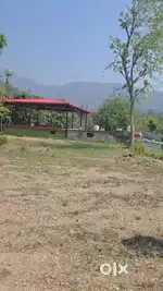 Residential  plot for sale in Main Thano Chowk