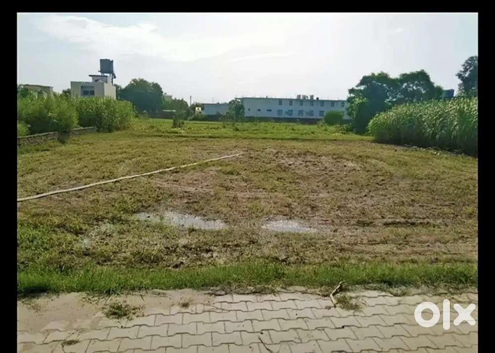 13 Marla Plot for sell Near  Chandigarh Road