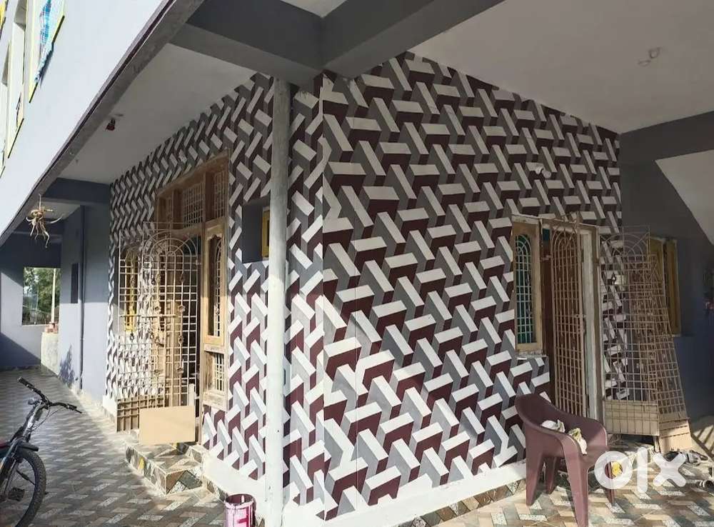 House paintings I am paintru