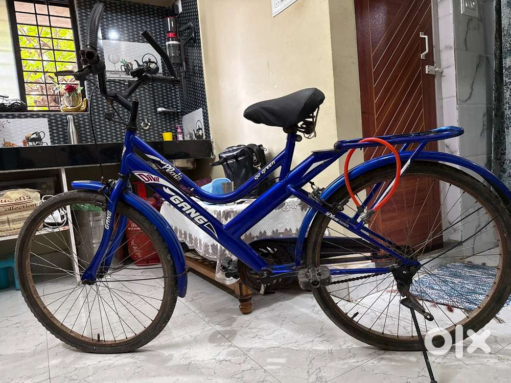 “Gang Cycle – Gently Used, Smooth Ride!”