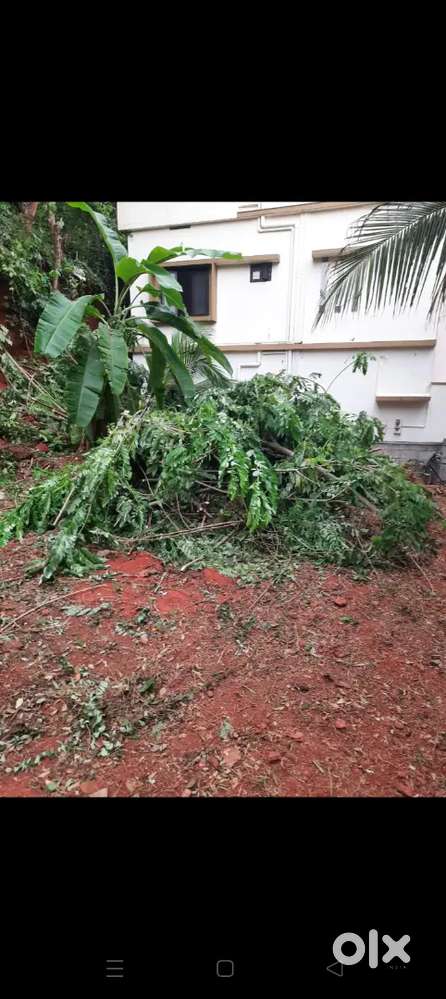 പ്ലോട്ട്  ഫോർ sale