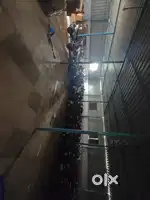 Whitefield godown