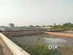 Sarkari Naukri valo ke liye 4%discount jila Panchayat se approved site