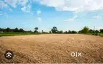 222 YARD plot available for sale