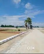 125 SQ,YD RESIDENTIAL PLOT FOR SALE IN SECTOR 115 MOHALI