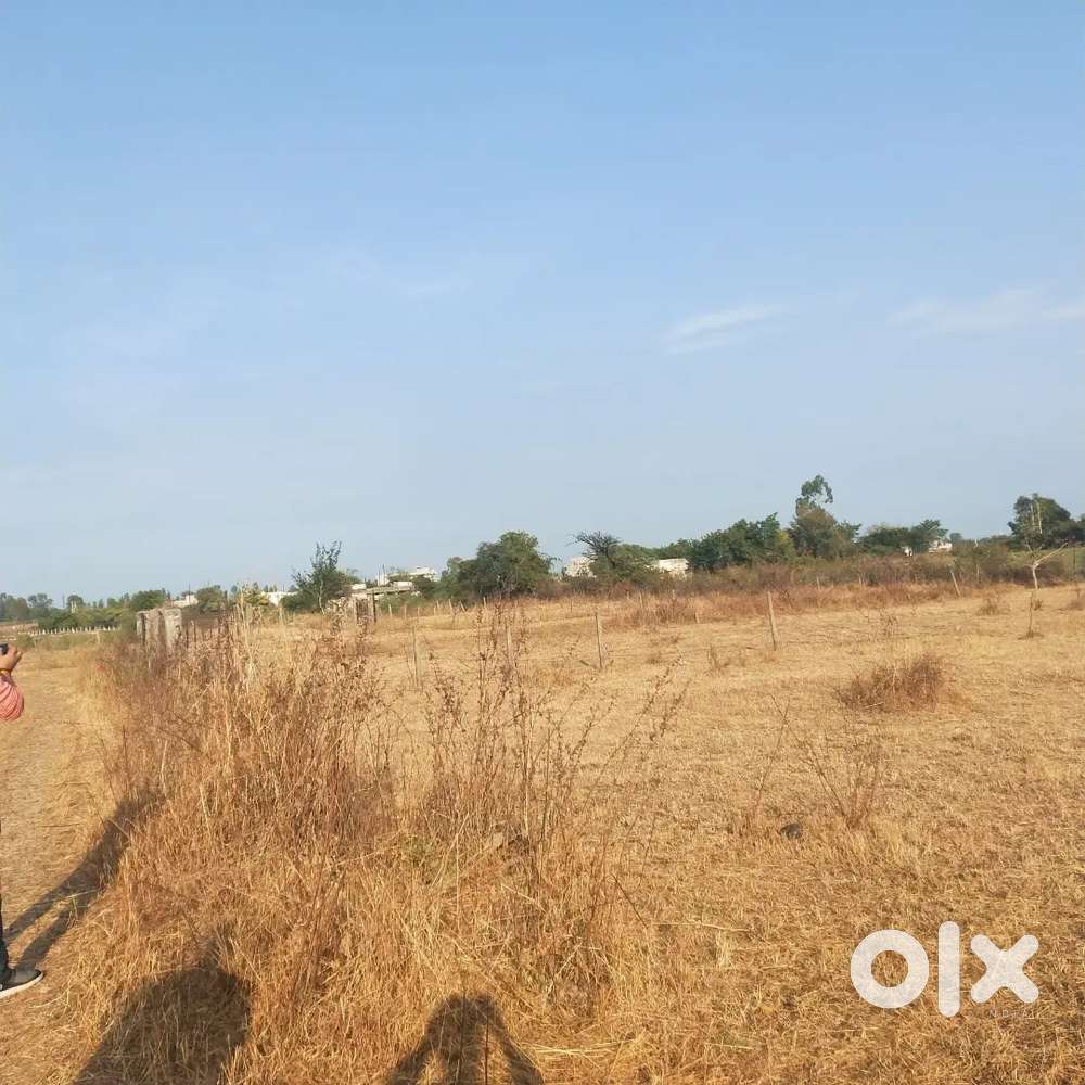 Farm house for sale in best value