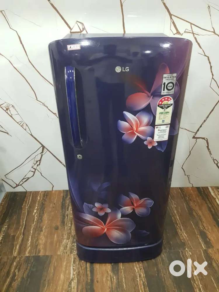 Lg smart inverter model flower design single door refrigerator $