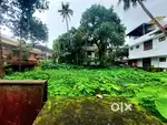 Land at Elamakkara Kochi