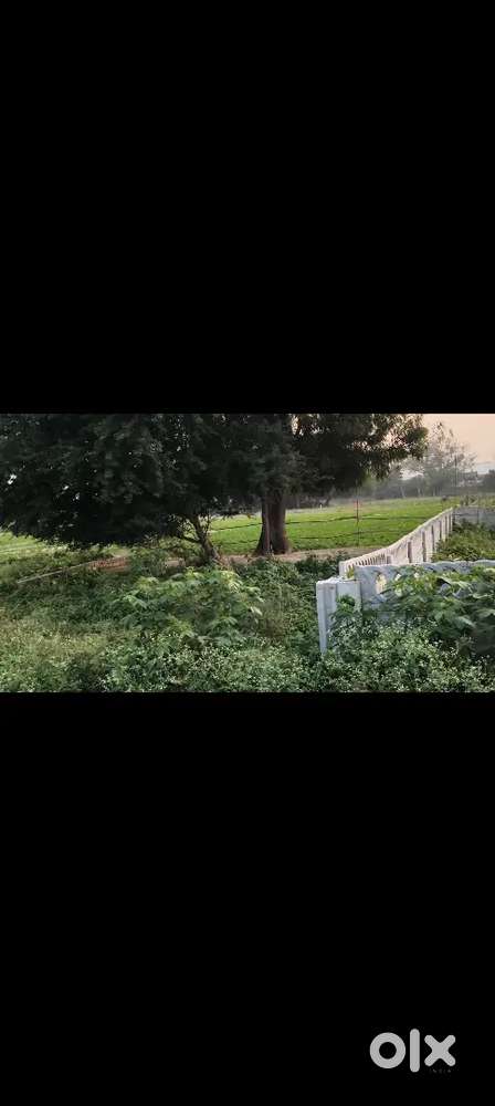 Unnao shekhpur 378sqr fit area main road se 300 minter pr