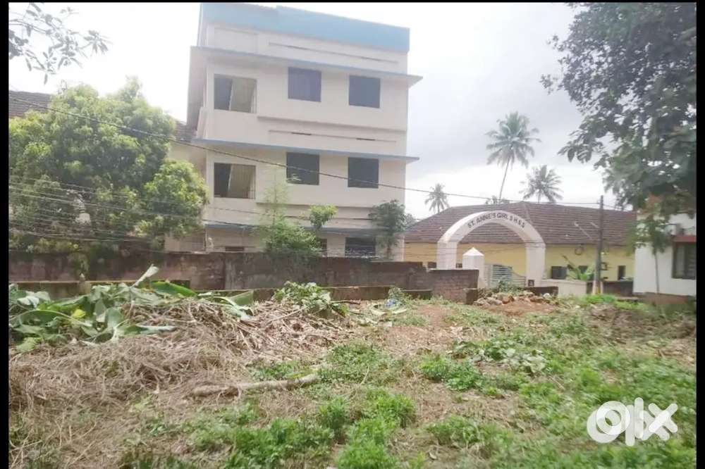 16.5 cent plot for sale in Changanacherry town