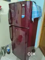 Lg double door