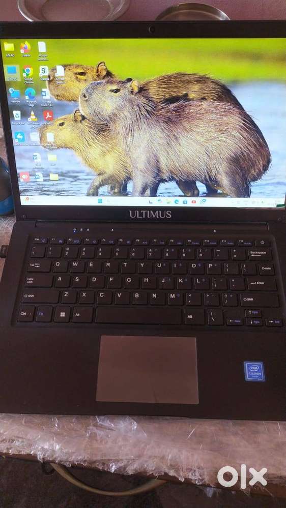 Laptop for sale company: Ultimus